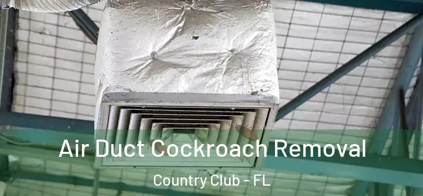 Air Duct Cockroach Removal Country Club - FL