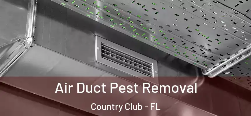 Air Duct Pest Removal Country Club - FL