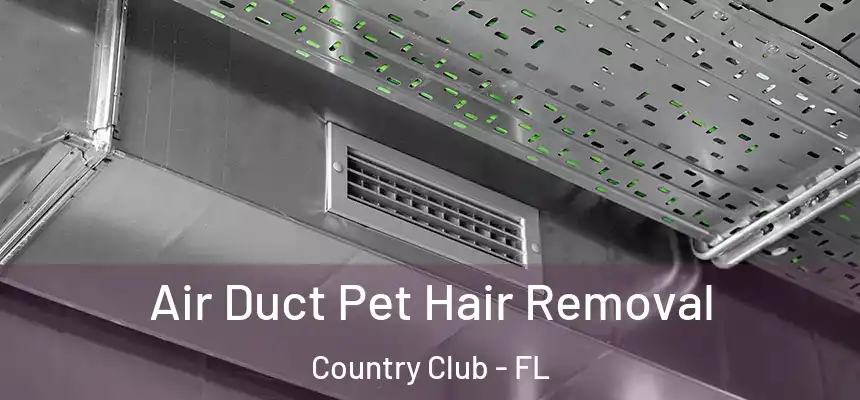 Air Duct Pet Hair Removal Country Club - FL