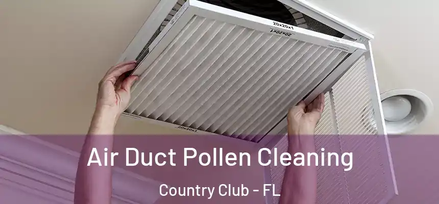 Air Duct Pollen Cleaning Country Club - FL