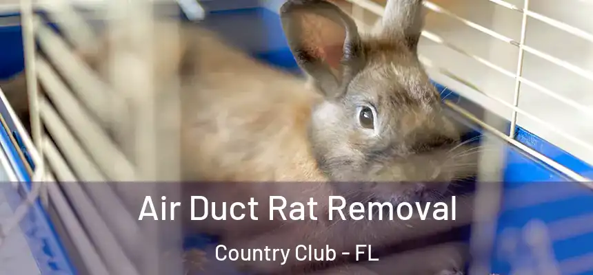 Air Duct Rat Removal Country Club - FL