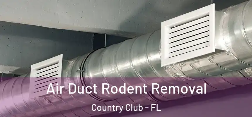 Air Duct Rodent Removal Country Club - FL