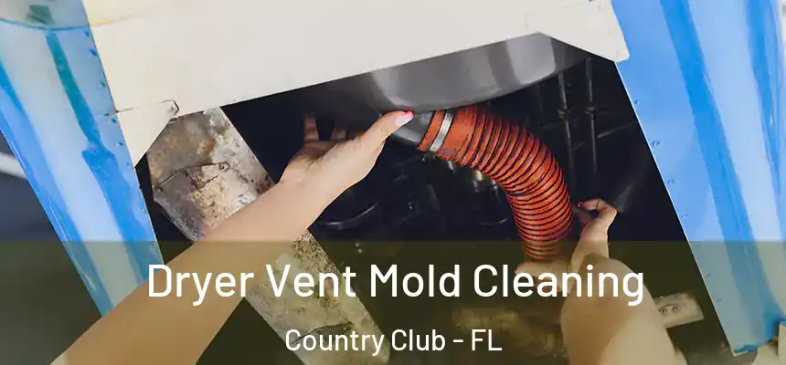 Dryer Vent Mold Cleaning Country Club - FL
