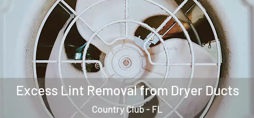 Excess Lint Removal from Dryer Ducts Country Club - FL