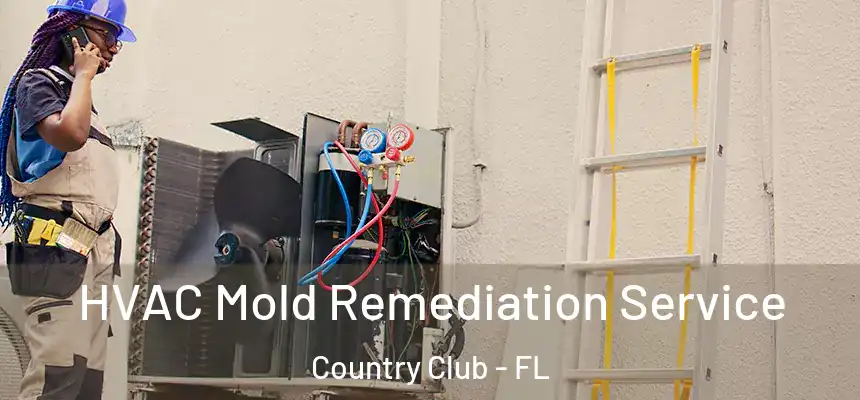 HVAC Mold Remediation Service Country Club - FL