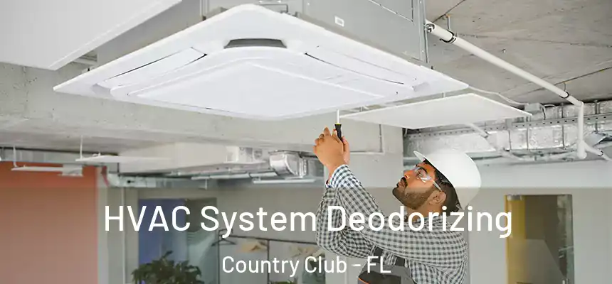 HVAC System Deodorizing Country Club - FL