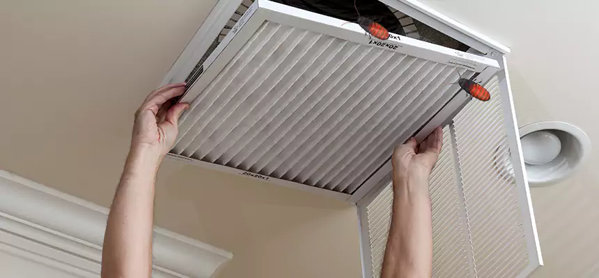 Preventive Cockroach-Proofing for Ducts in Country Club