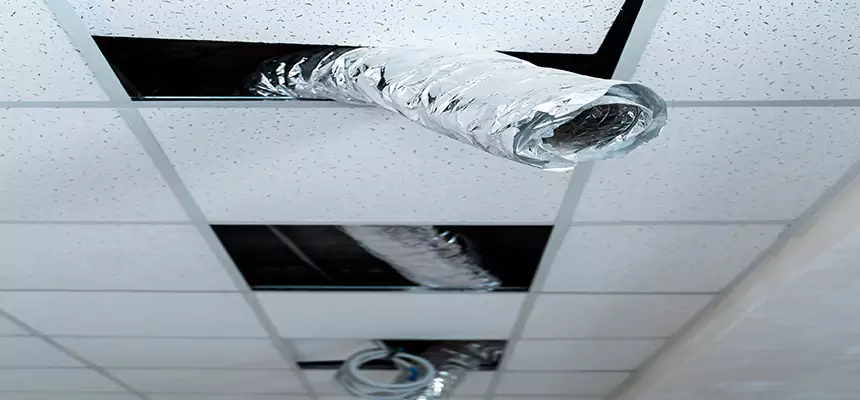 Affordable HVAC Sanitizing After Pest Removal in Country Club