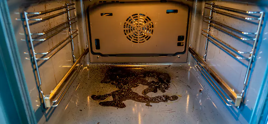 Our Dryer Vent Mold Cleaning Services in Country Club, FL
