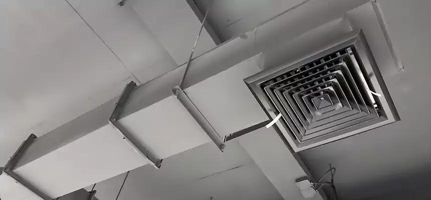 Our Rodent Droppings In Vents Services in Country Club, FL