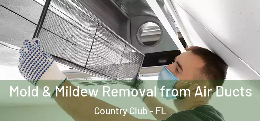 Mold & Mildew Removal from Air Ducts Country Club - FL