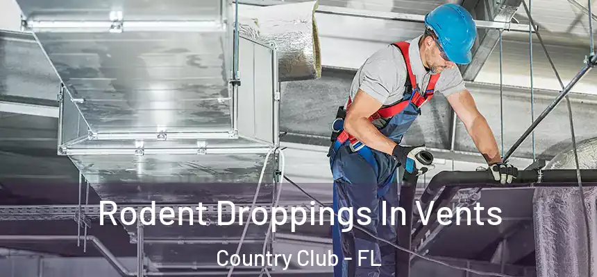 Rodent Droppings In Vents Country Club - FL