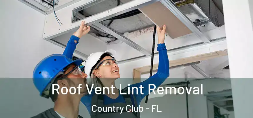 Roof Vent Lint Removal Country Club - FL