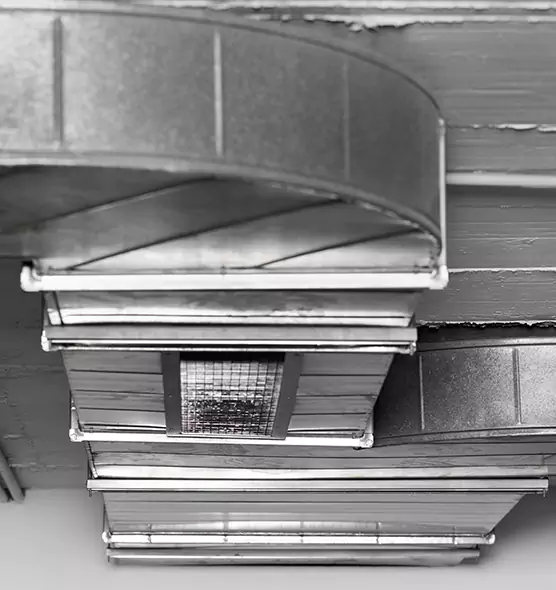 Professional Air Duct Pest Removal in Country Club, FL