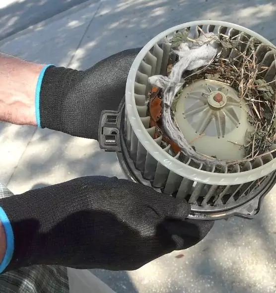 About Air Duct Rat Removal in Country Club, FL