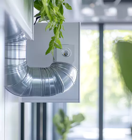 Professional Eco-Safe Dryer Vent Cleaning in Country Club, FL