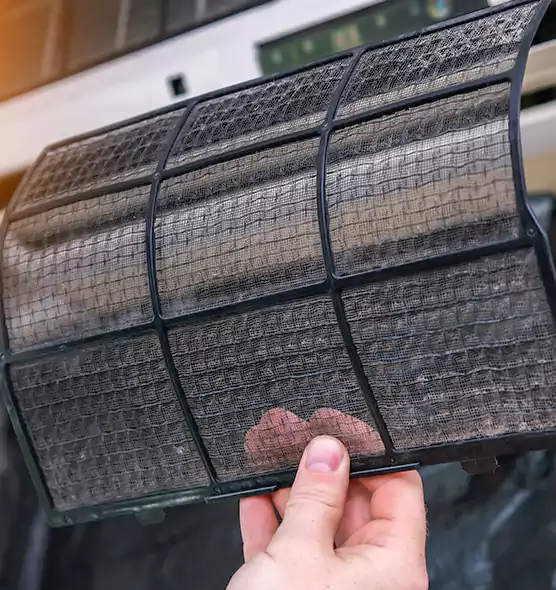 About Pet Dander Duct Cleaning in Country Club, FL